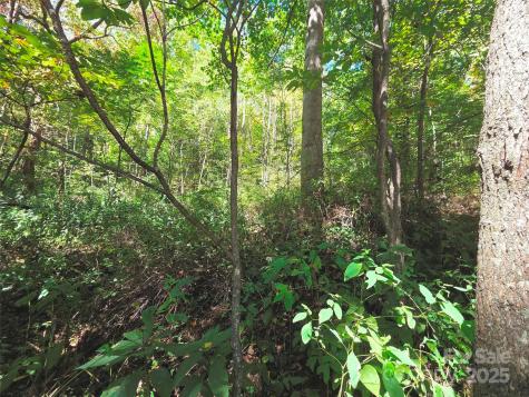 123 Live Oak Loop Waynesville NC 28785