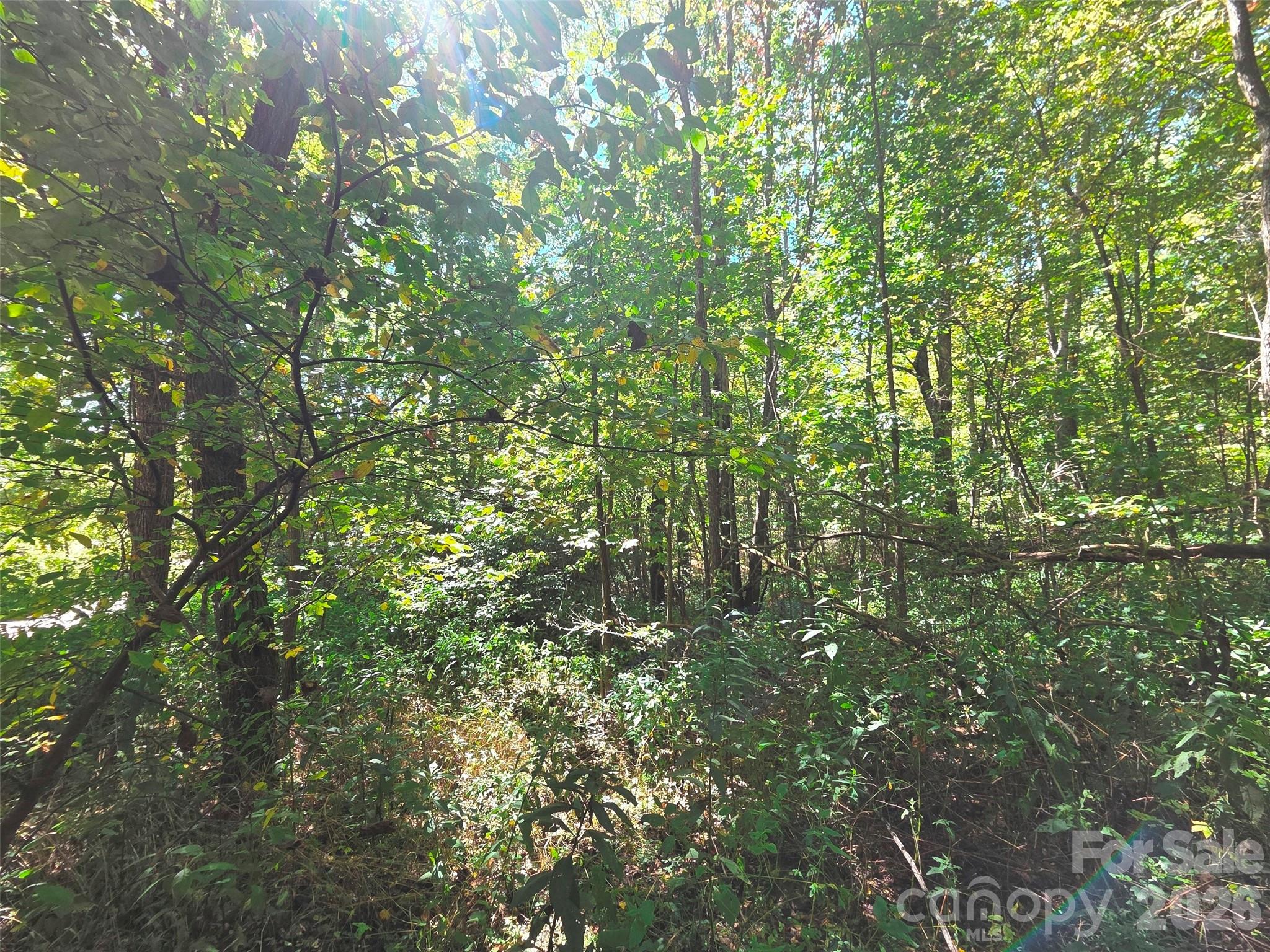 123 Live Oak Loop Waynesville NC 28785