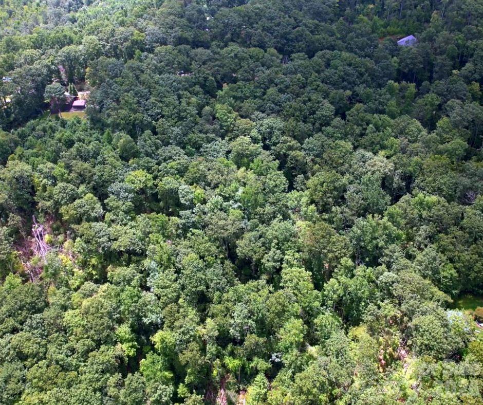 13 Old Mill Road Hendersonville NC 28792