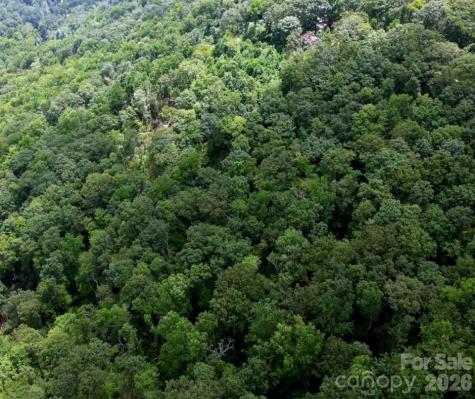 13 Old Mill Road Hendersonville NC 28792