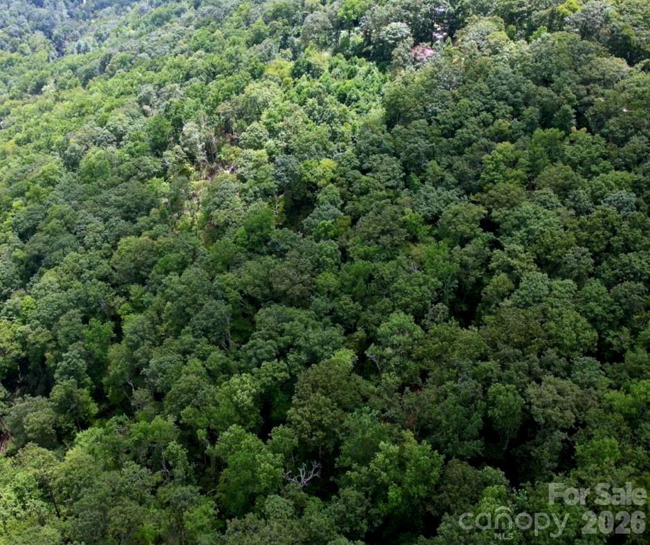 13 Old Mill Road Hendersonville NC 28792