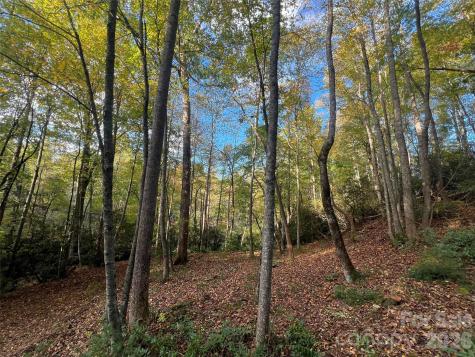 6 Dividing Ridge Trail Arden NC 28704