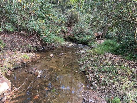 6 Dividing Ridge Trail Arden NC 28704