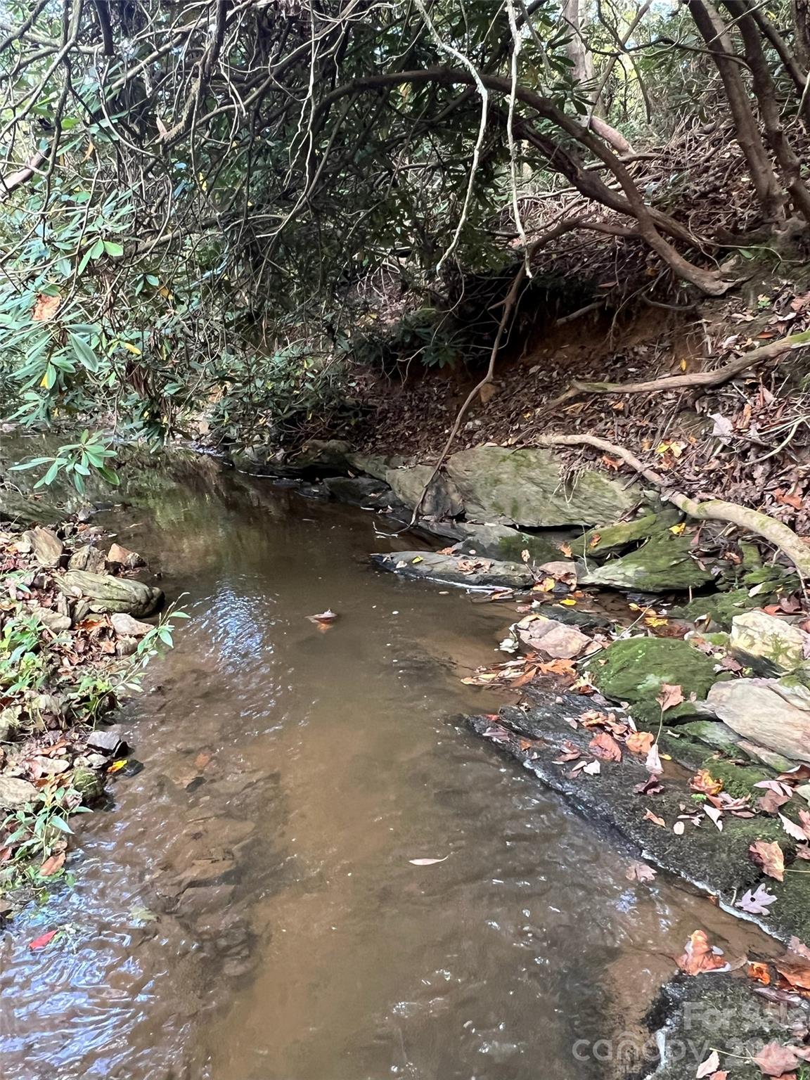 6 Dividing Ridge Trail Arden NC 28704