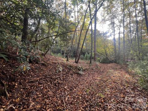 6 Dividing Ridge Trail Arden NC 28704