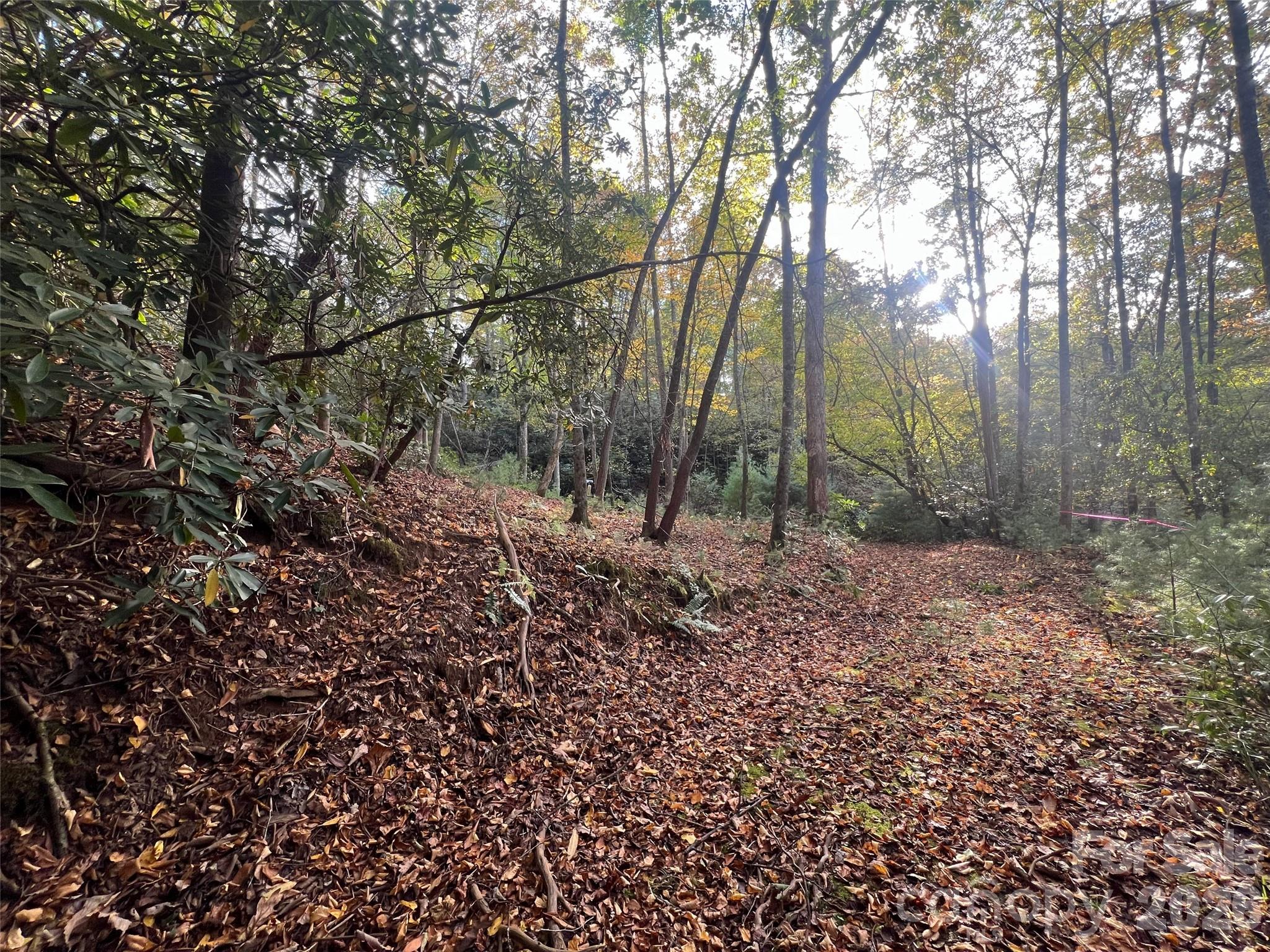 6 Dividing Ridge Trail Arden NC 28704