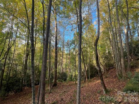 6 Dividing Ridge Trail Arden NC 28704