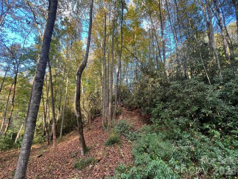 6 Dividing Ridge Trail Arden NC 28704