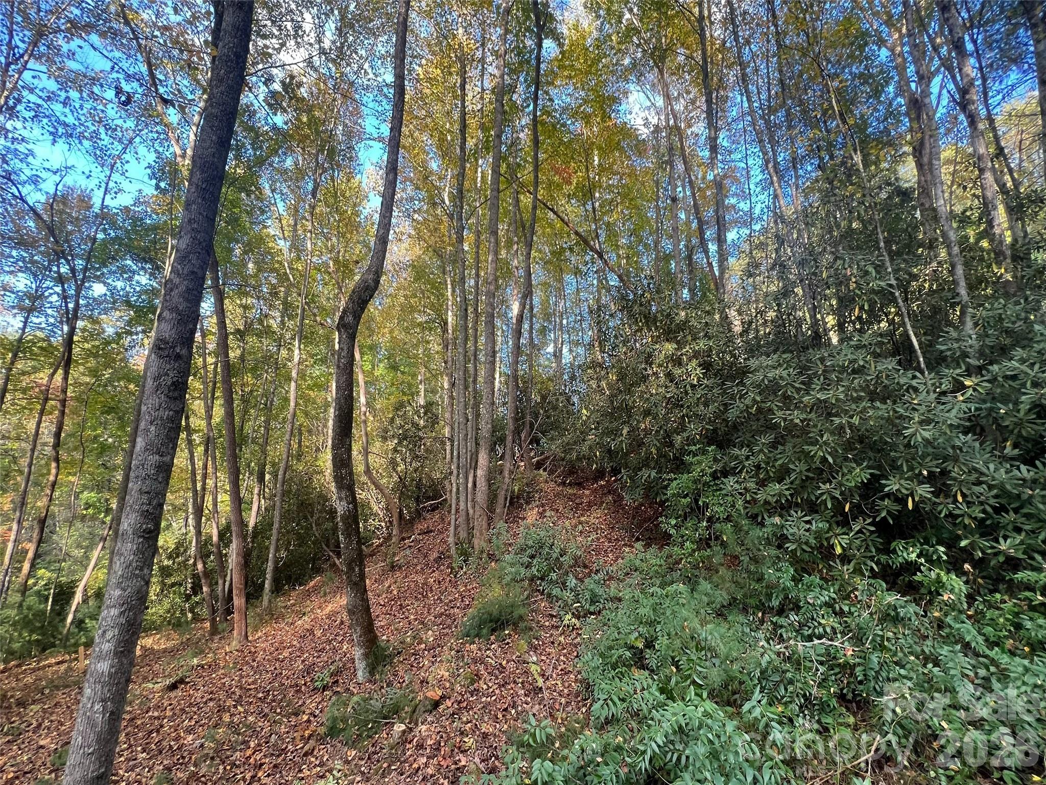 6 Dividing Ridge Trail Arden NC 28704