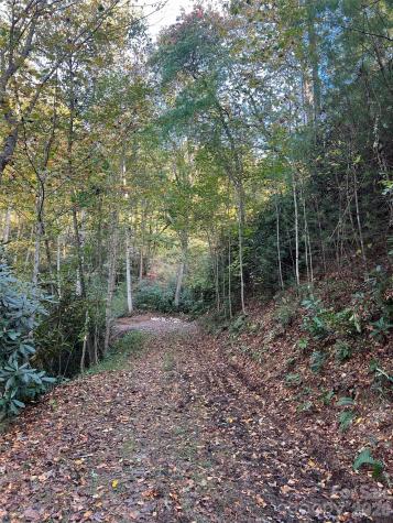 6 Dividing Ridge Trail Arden NC 28704