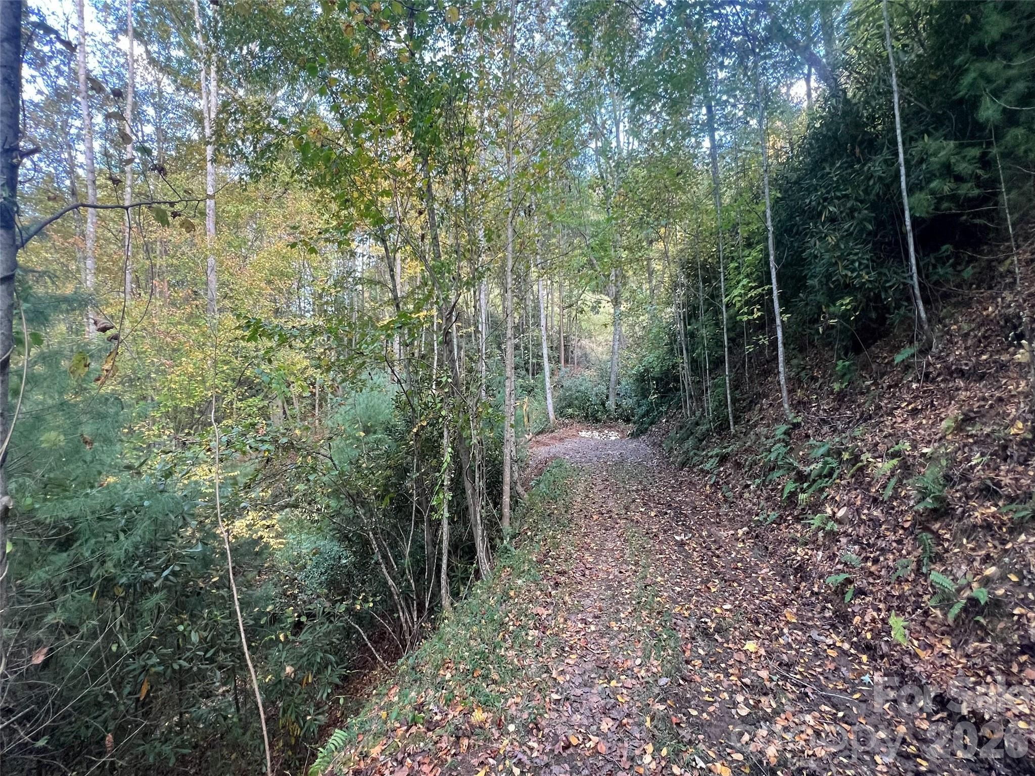 6 Dividing Ridge Trail Arden NC 28704
