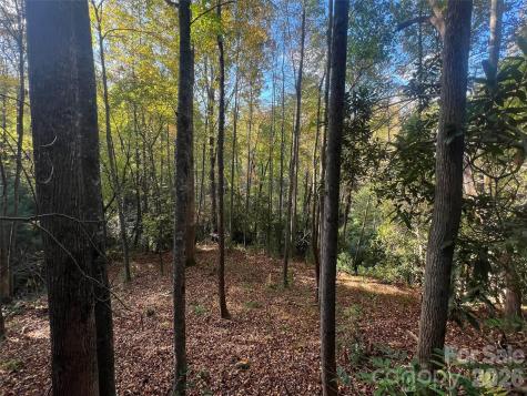 6 Dividing Ridge Trail Arden NC 28704