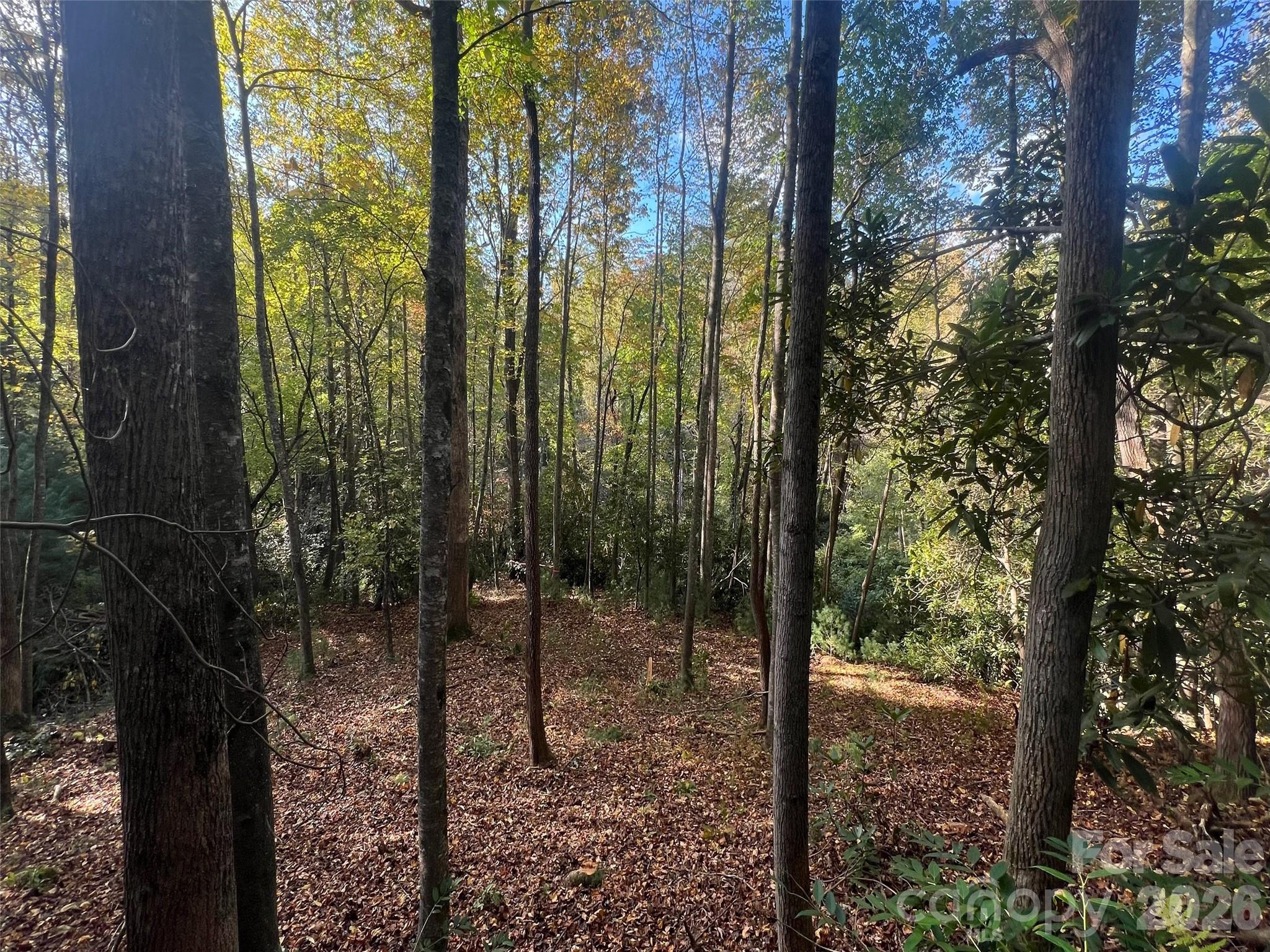 6 Dividing Ridge Trail Arden NC 28704