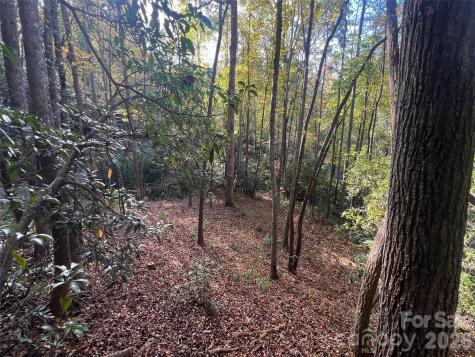 6 Dividing Ridge Trail Arden NC 28704