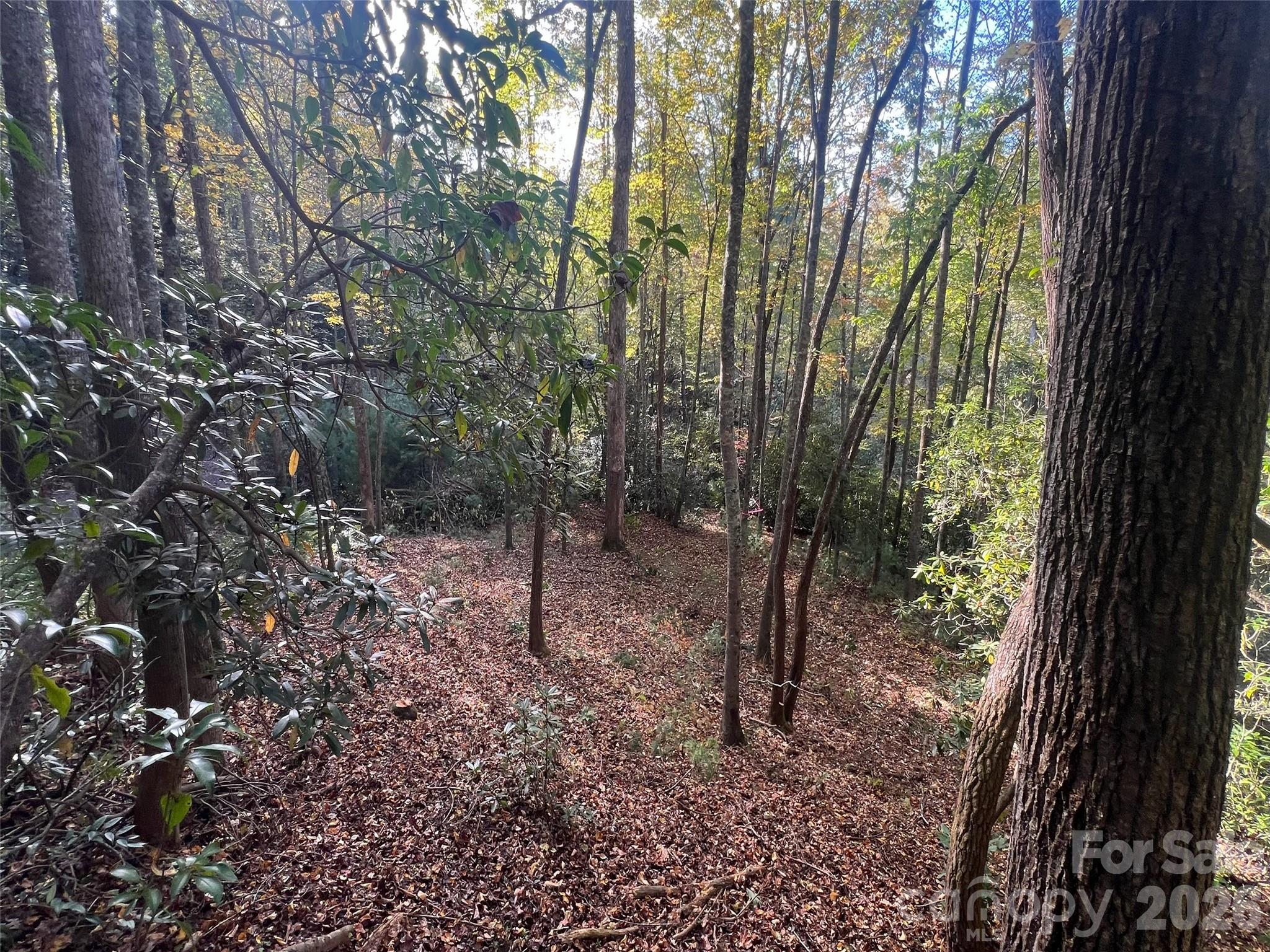6 Dividing Ridge Trail Arden NC 28704