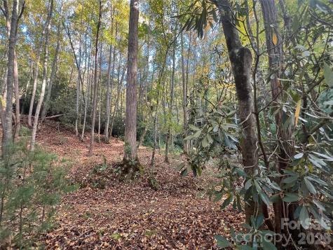 6 Dividing Ridge Trail Arden NC 28704