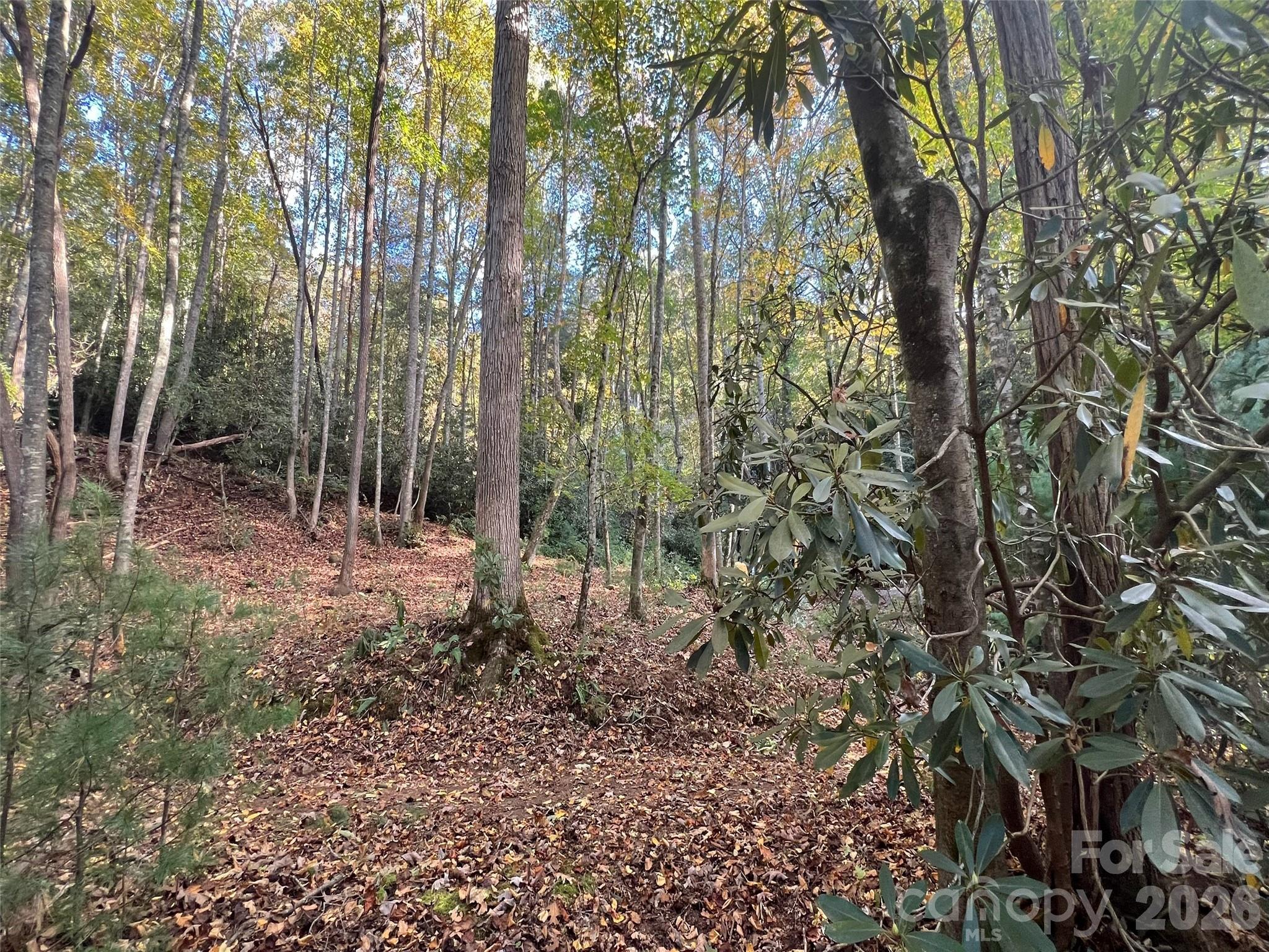6 Dividing Ridge Trail Arden NC 28704