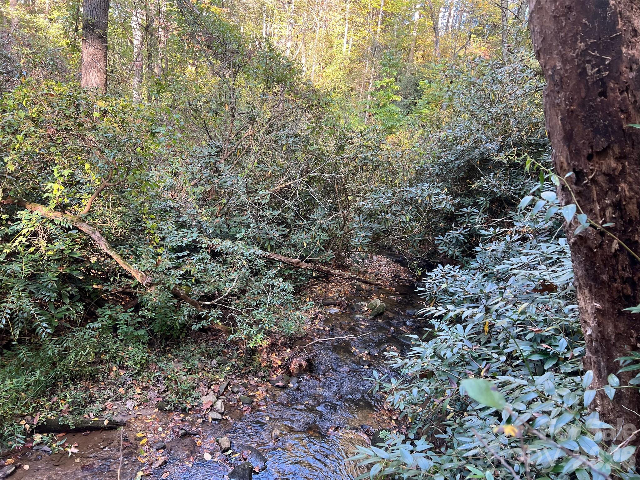 6 Dividing Ridge Trail Arden NC 28704