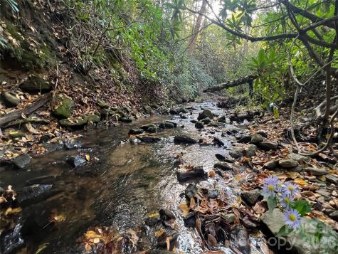 6 Dividing Ridge Trail Arden NC 28704