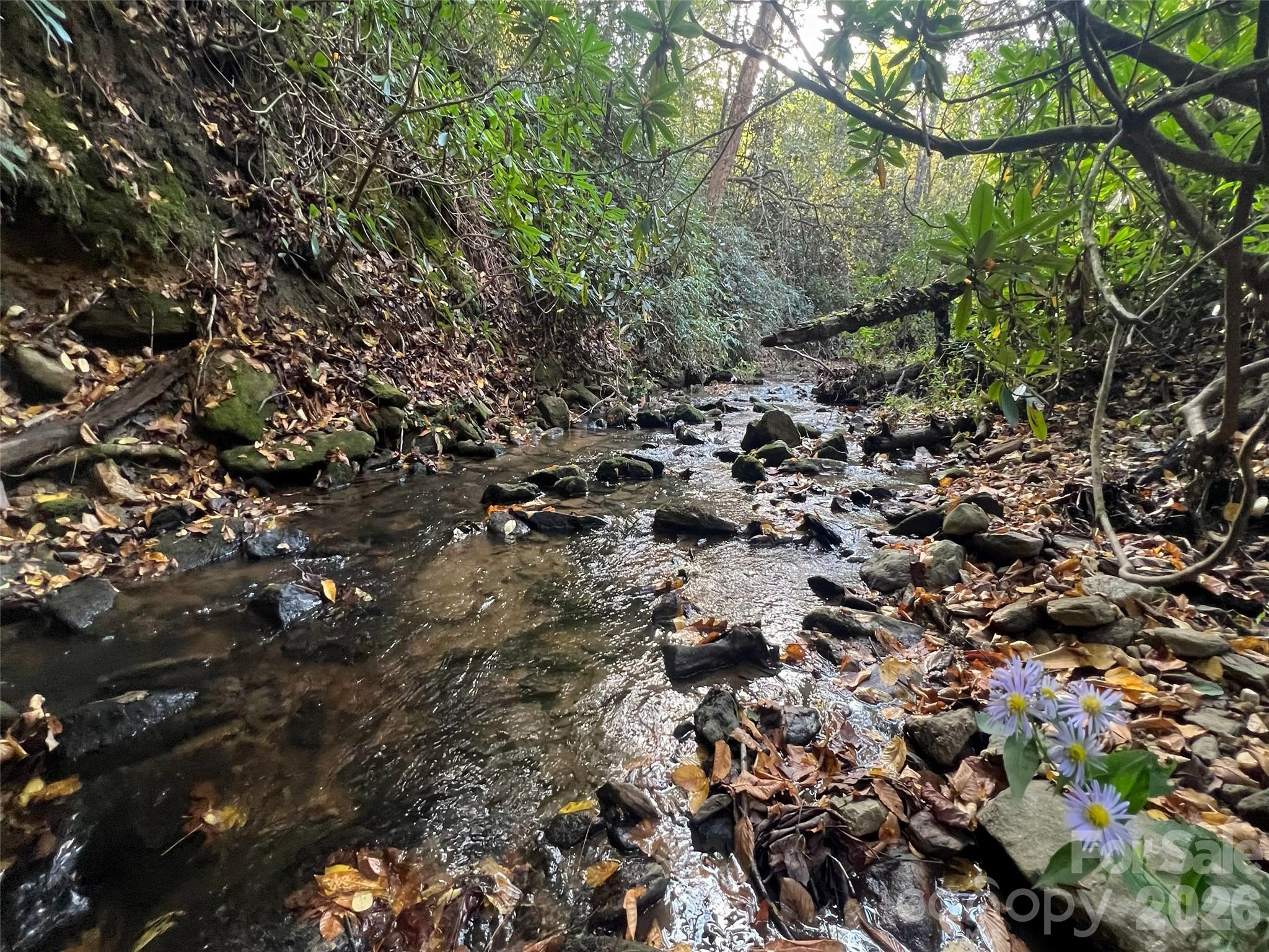 6 Dividing Ridge Trail Arden NC 28704