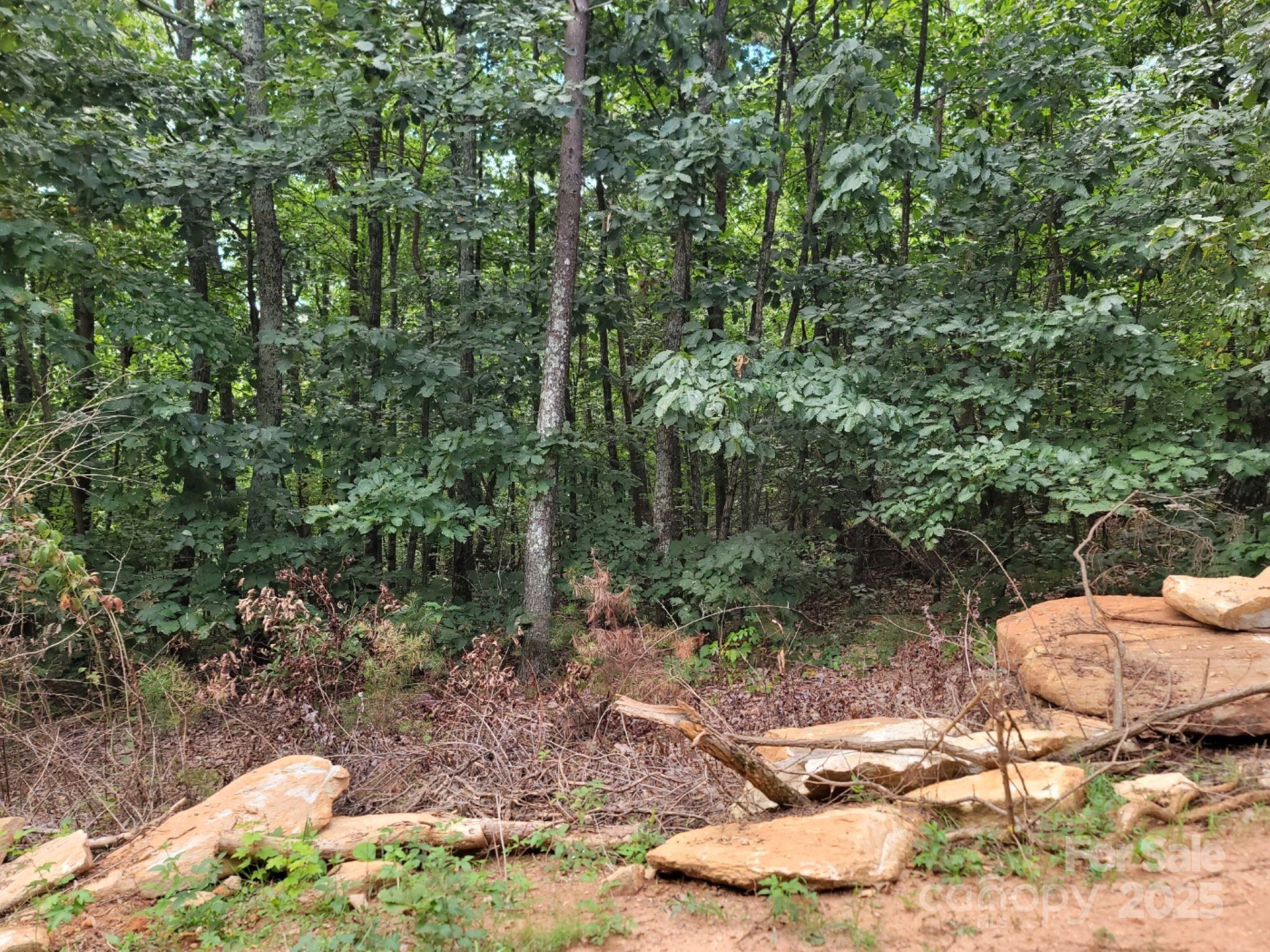 219 Judy Road Casar NC 28020