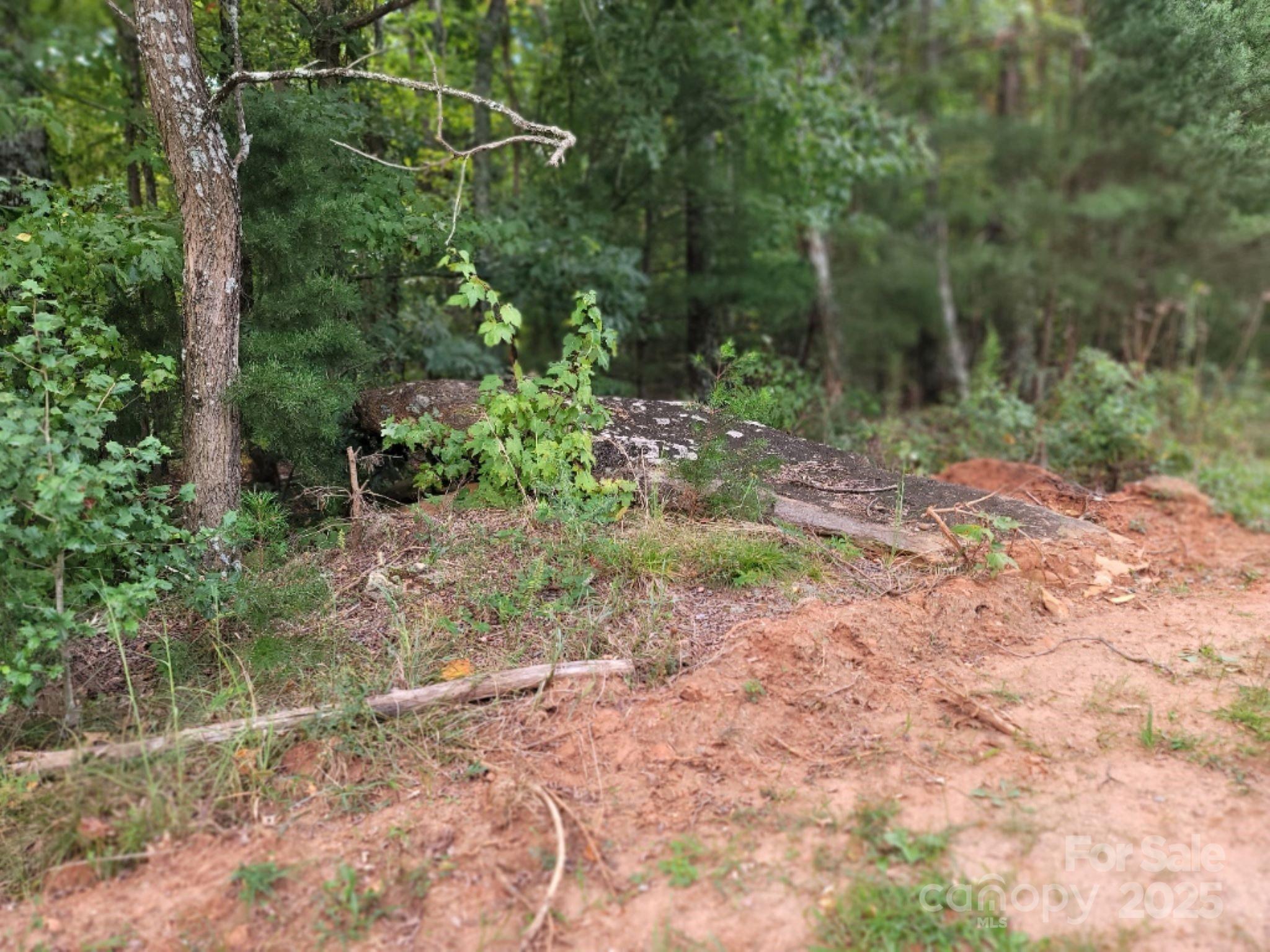 219 Judy Road Casar NC 28020