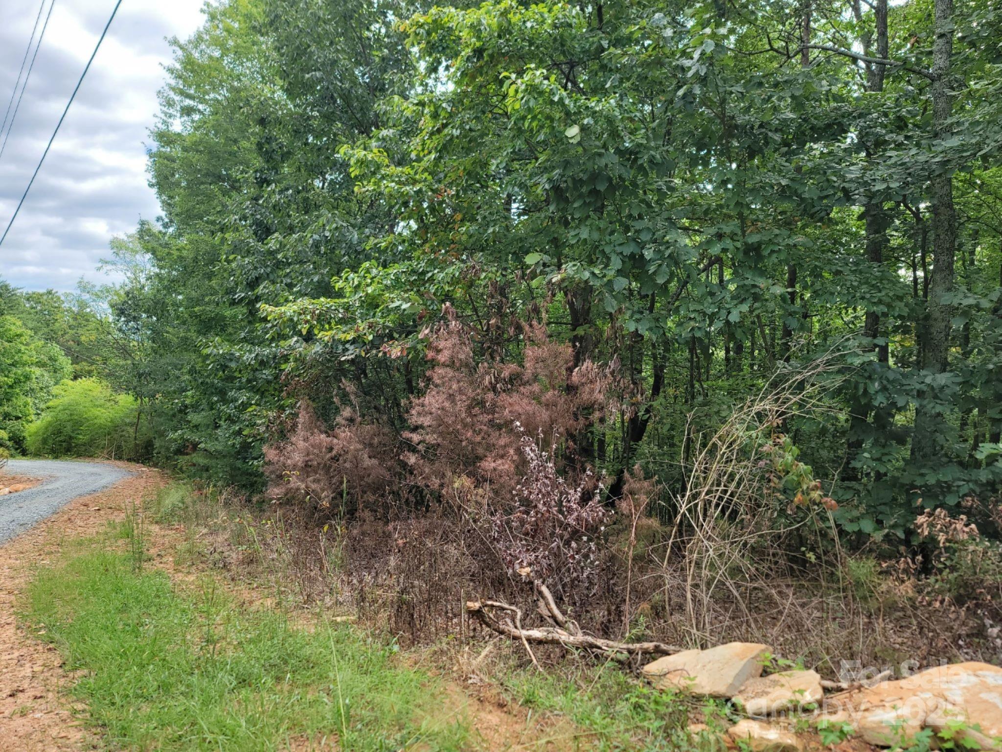 219 Judy Road Casar NC 28020