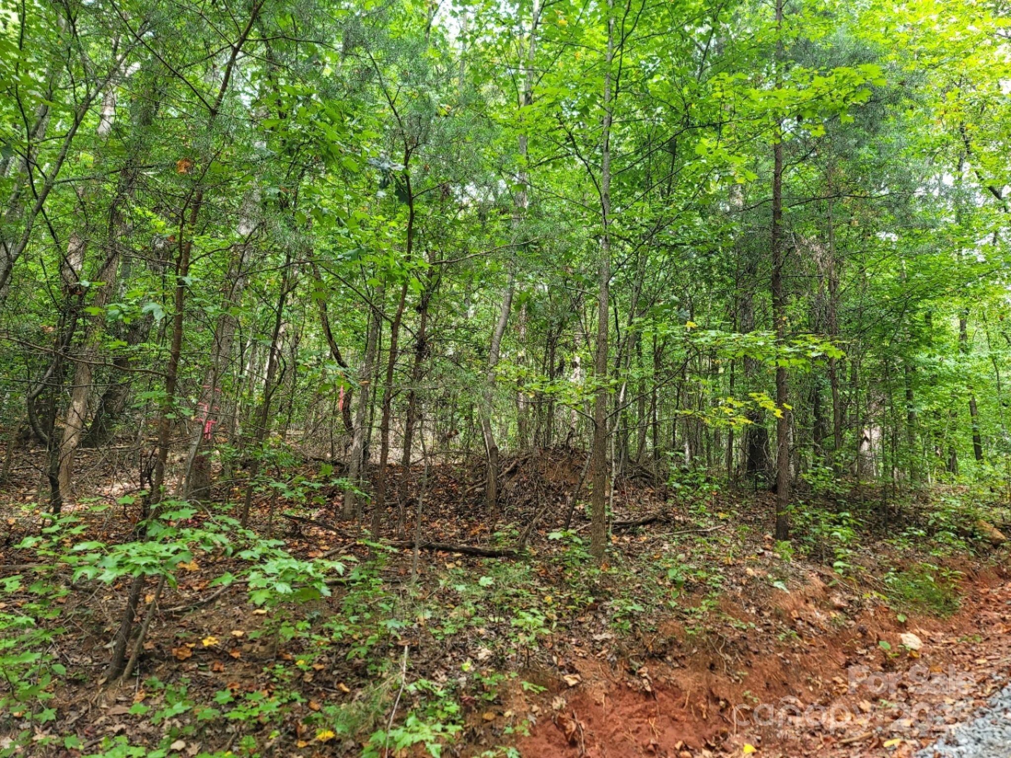 219 Judy Road Casar NC 28020