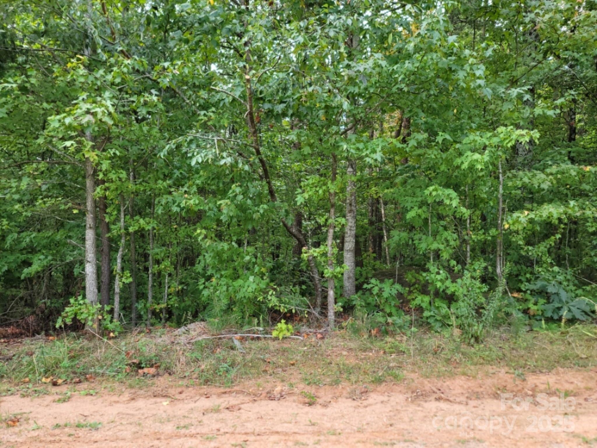219 Judy Road Casar NC 28020