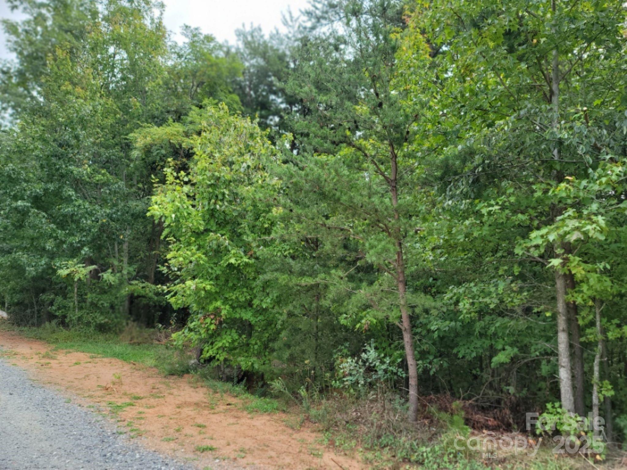219 Judy Road Casar NC 28020