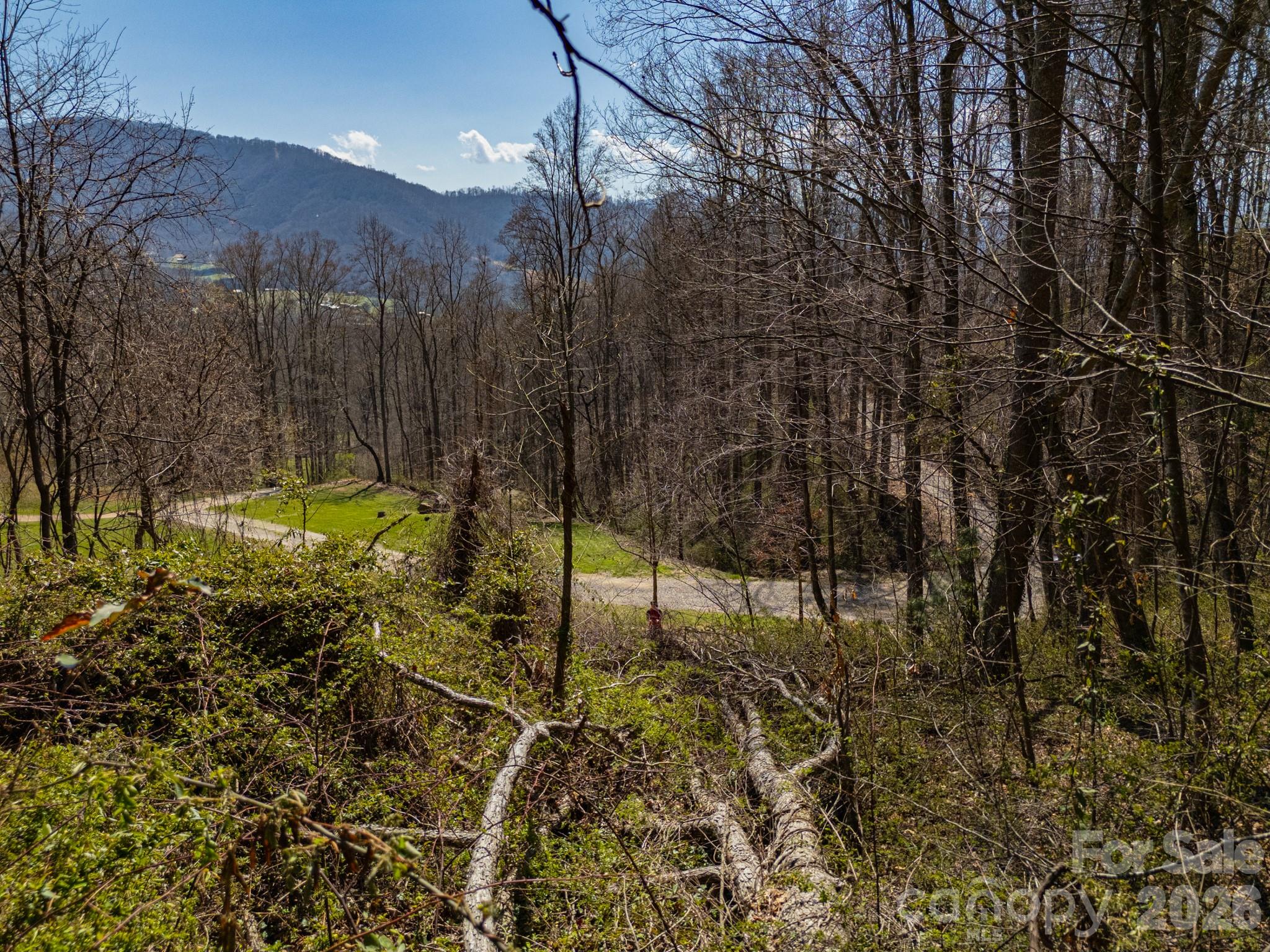 Tbd Dads Retreat Trail Canton NC 28716