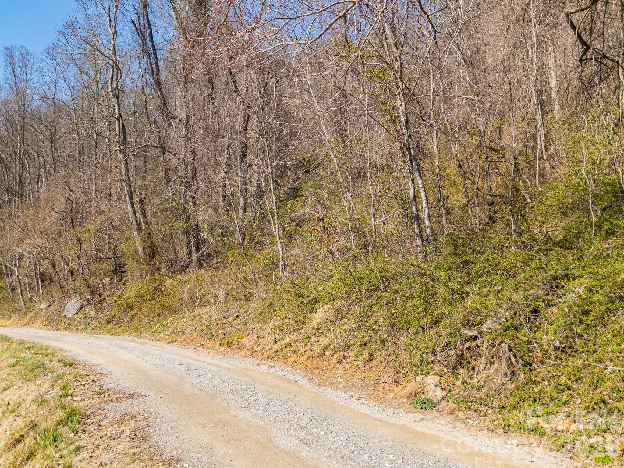 Tbd Dads Retreat Trail Canton NC 28716