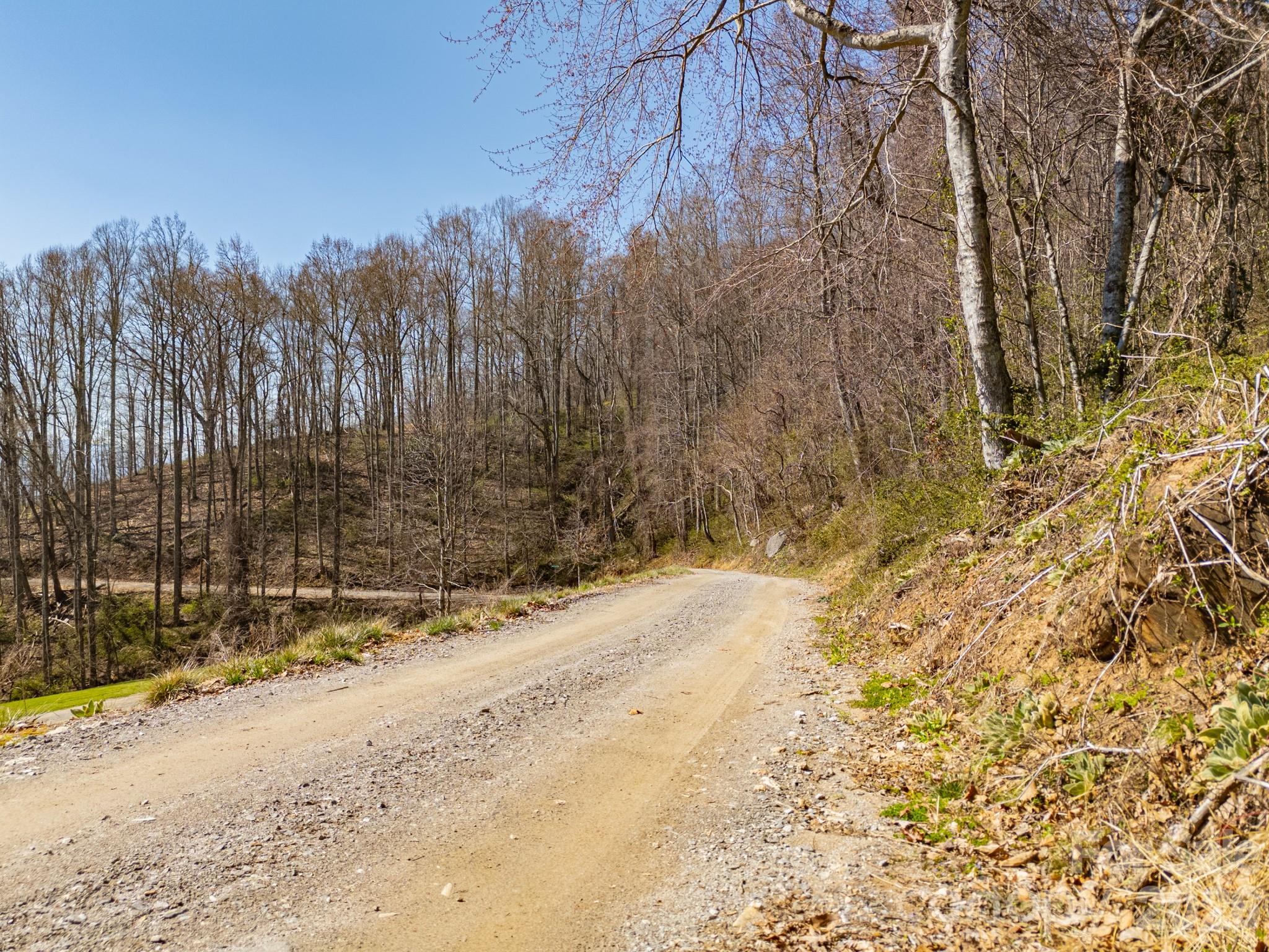 Tbd Dads Retreat Trail Canton NC 28716