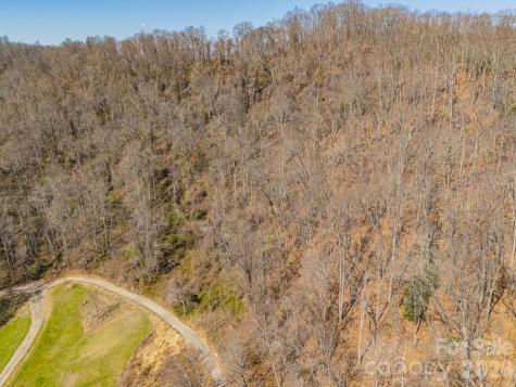 Tbd Dads Retreat Trail Canton NC 28716