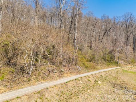 Tbd Dads Retreat Trail Canton NC 28716