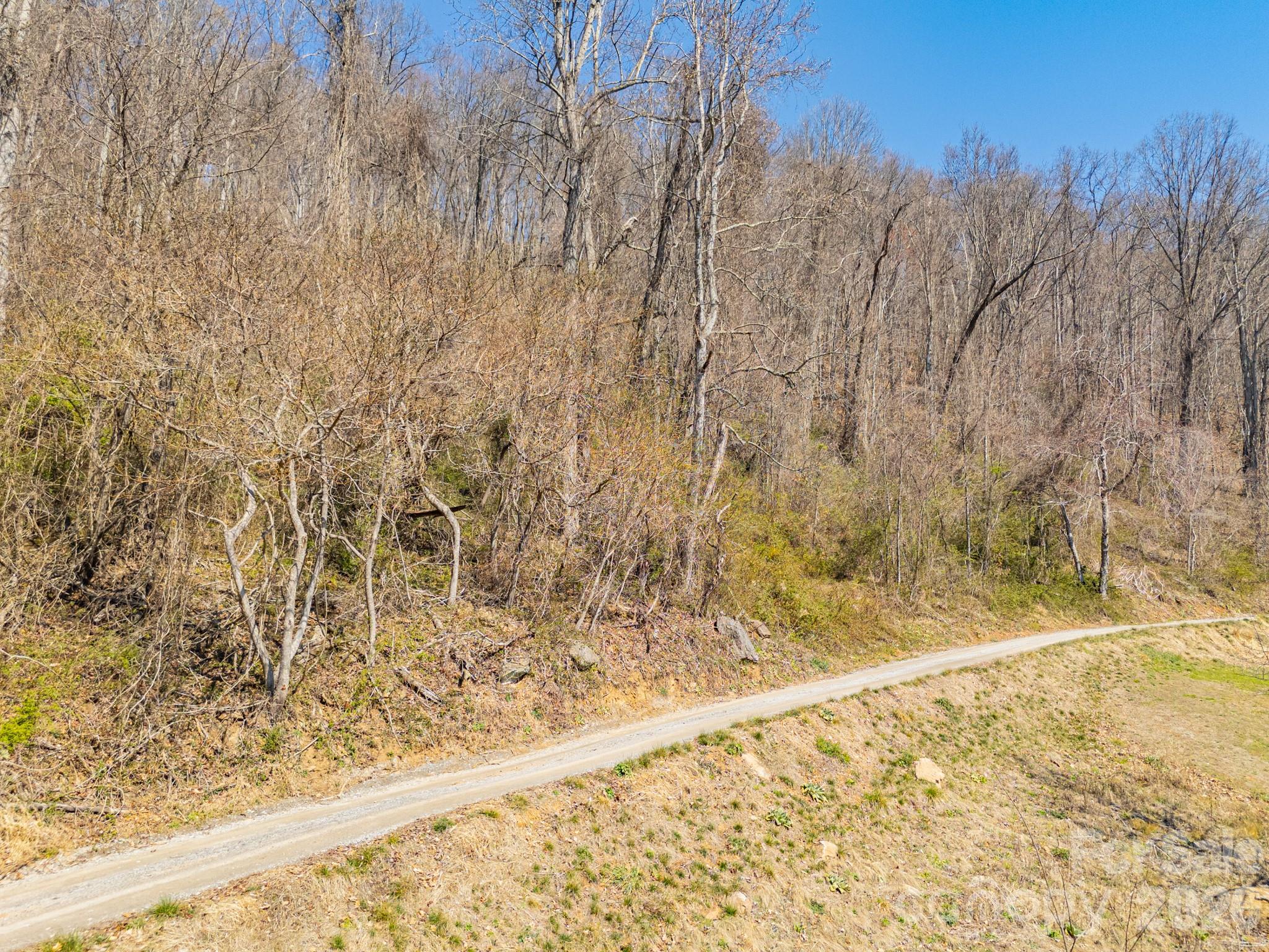 Tbd Dads Retreat Trail Canton NC 28716