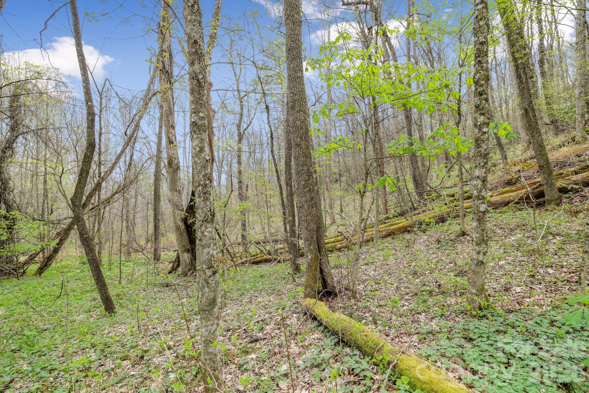 00 Bear Hollow Road Waynesville NC 28785