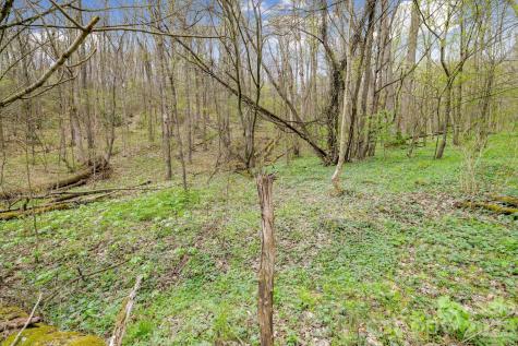 00 Bear Hollow Road Waynesville NC 28785