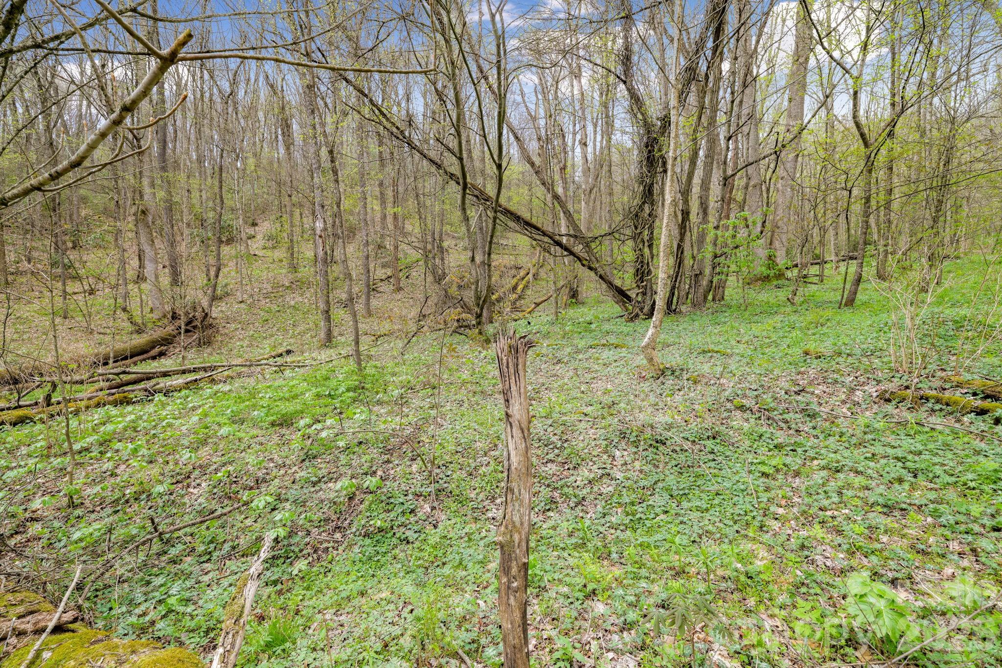 00 Bear Hollow Road Waynesville NC 28785