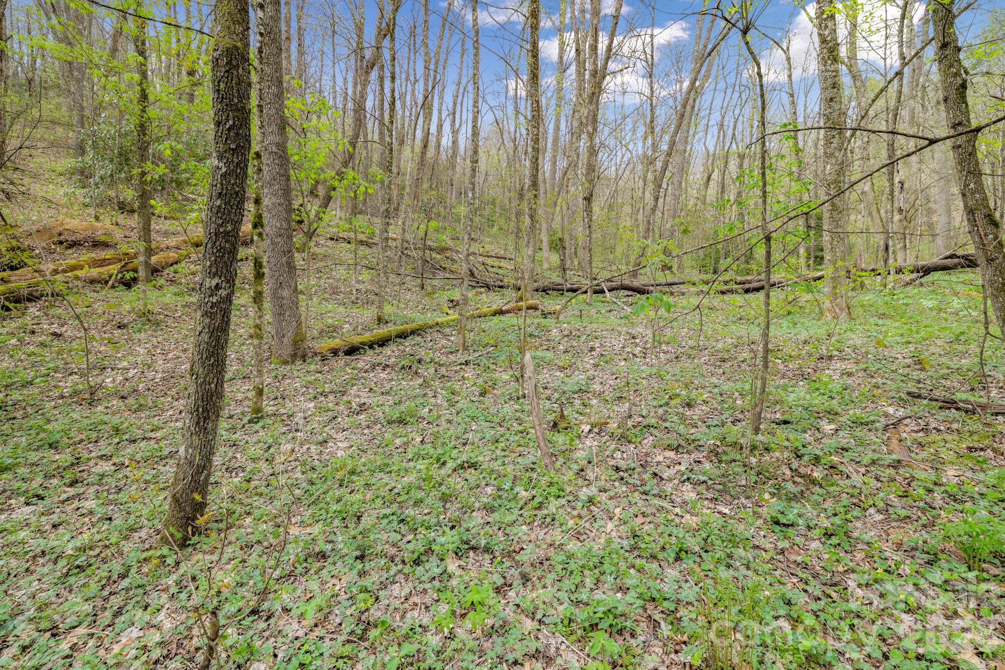 00 Bear Hollow Road Waynesville NC 28785