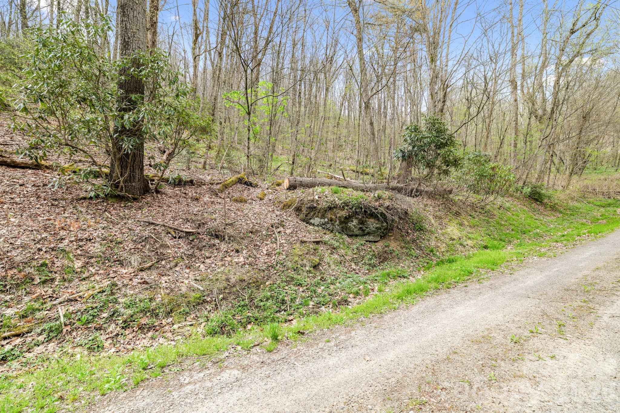00 Bear Hollow Road Waynesville NC 28785