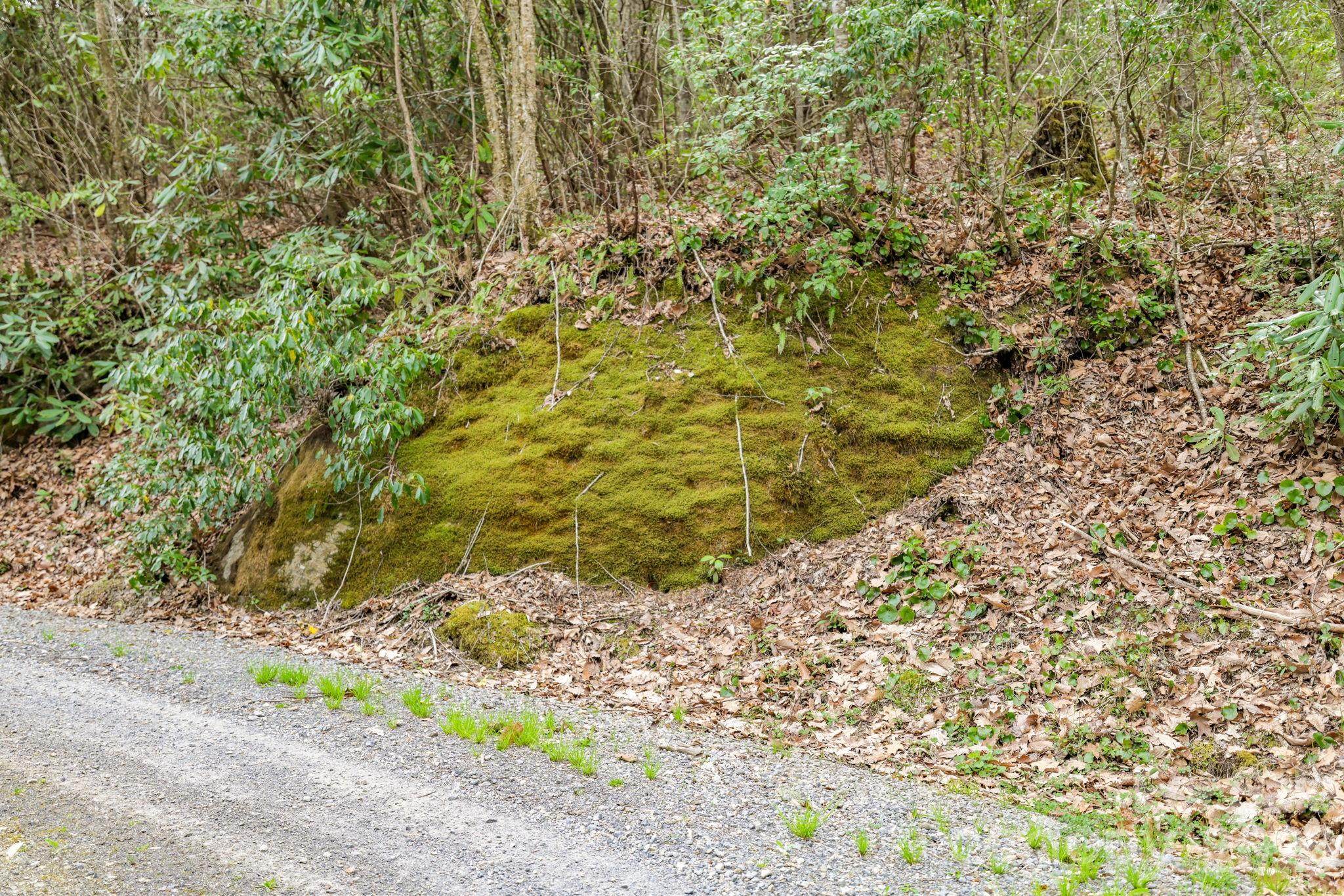 00 Bear Hollow Road Waynesville NC 28785