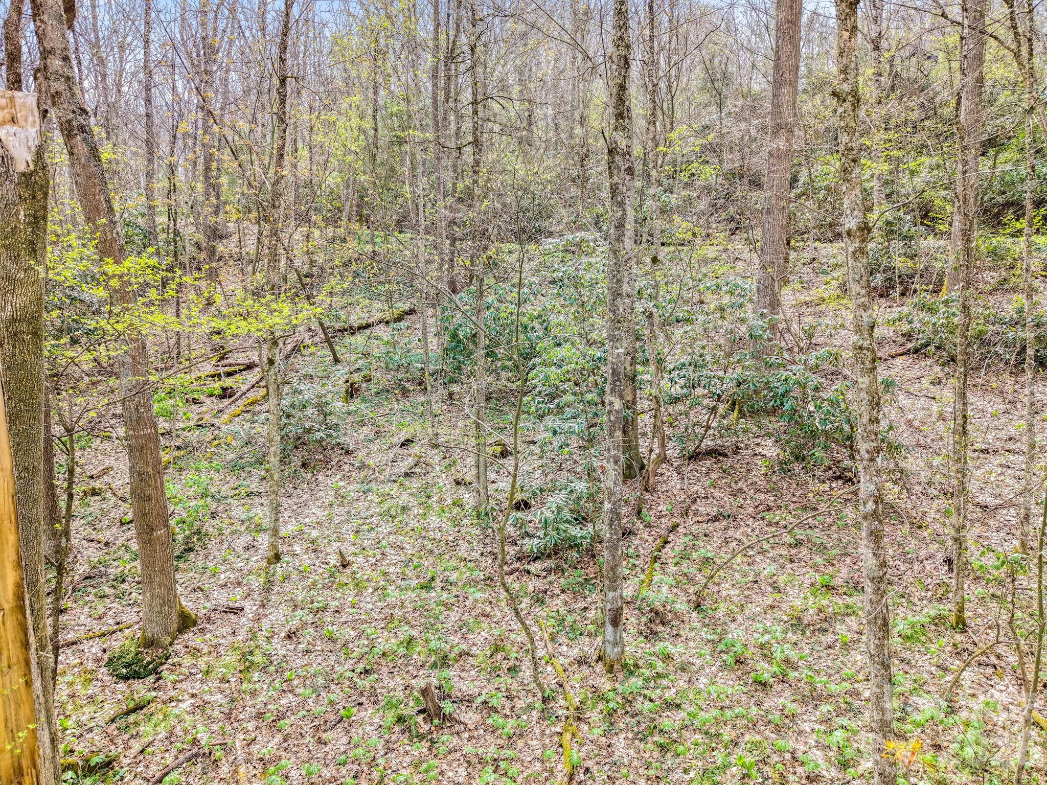 00 Bear Hollow Road Waynesville NC 28785