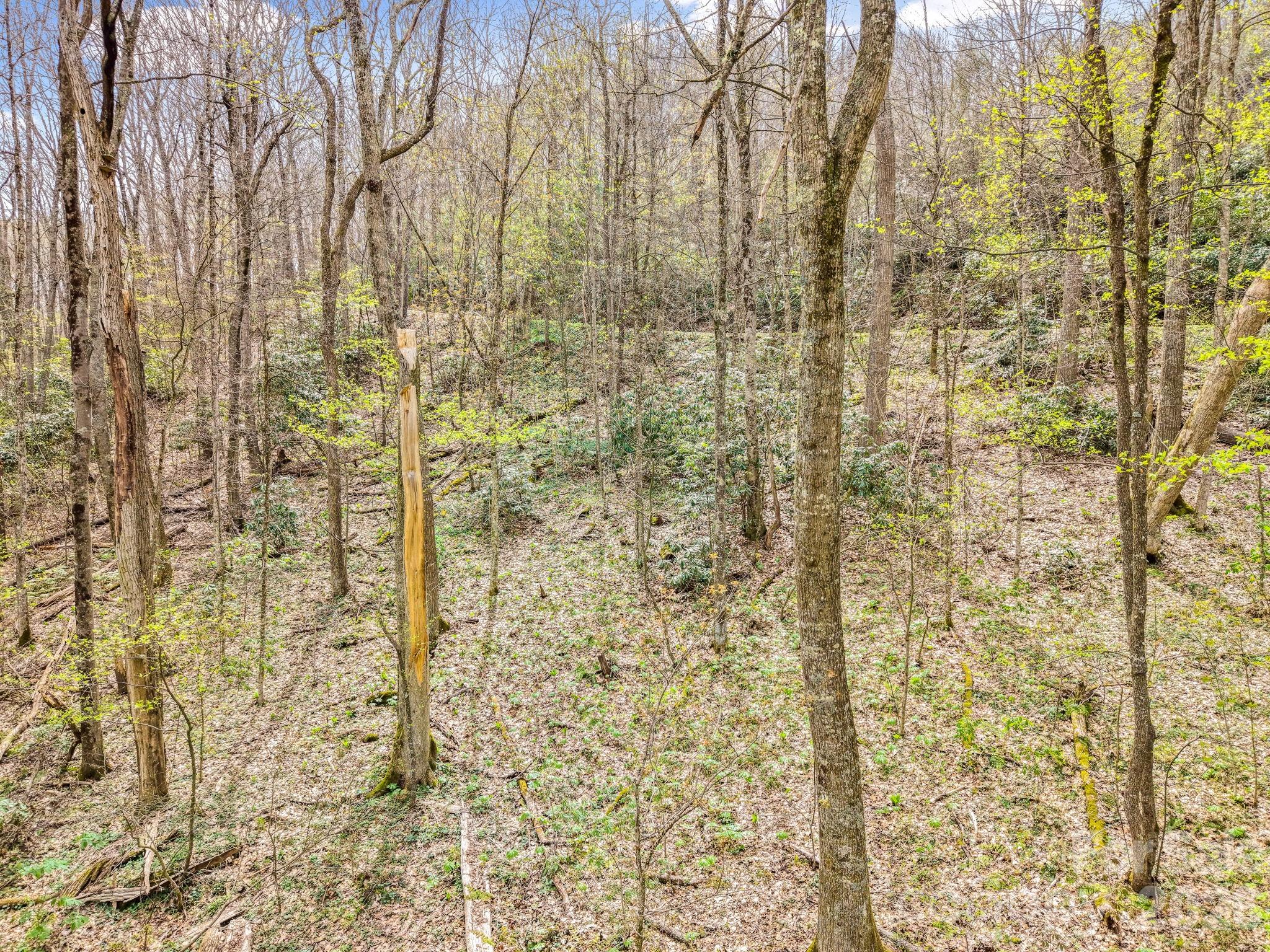 00 Bear Hollow Road Waynesville NC 28785