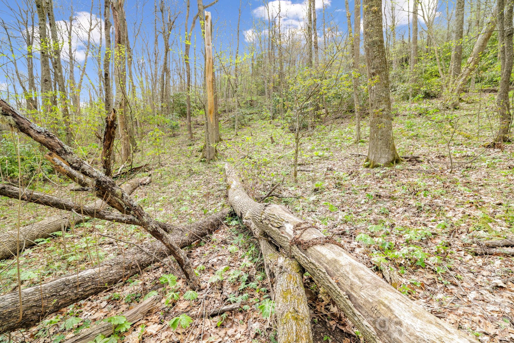 00 Bear Hollow Road Waynesville NC 28785