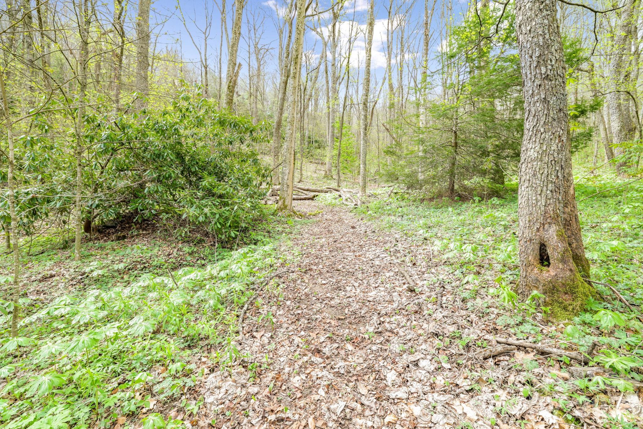 00 Bear Hollow Road Waynesville NC 28785
