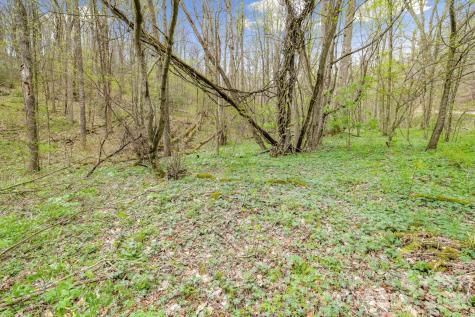 00 Bear Hollow Road Waynesville NC 28785
