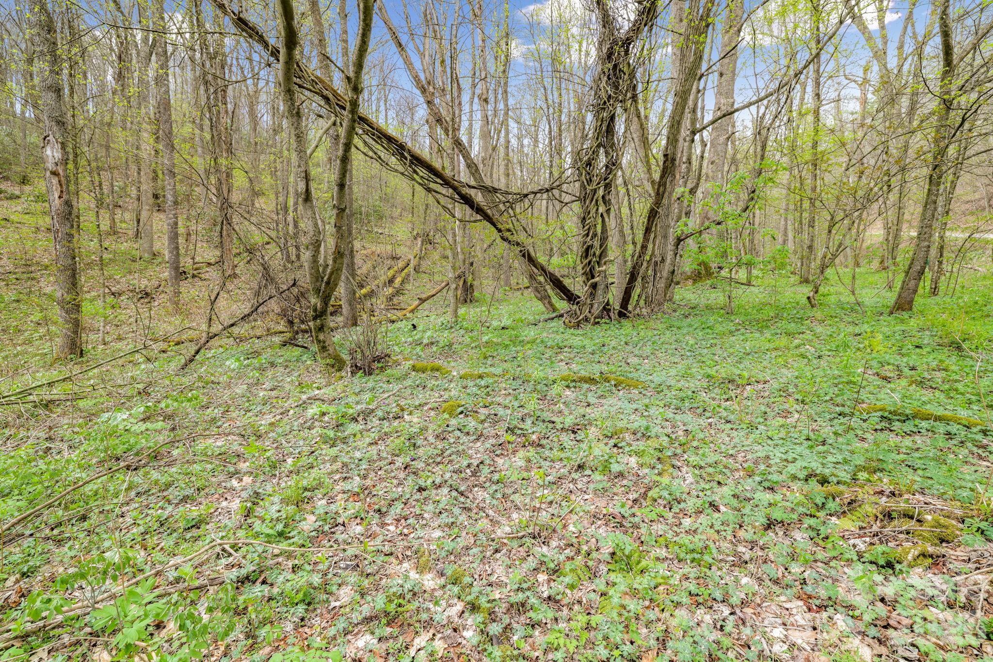 00 Bear Hollow Road Waynesville NC 28785