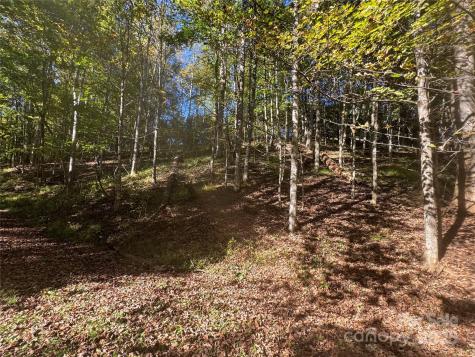 9 Susanna Cove Mars Hill NC 28754