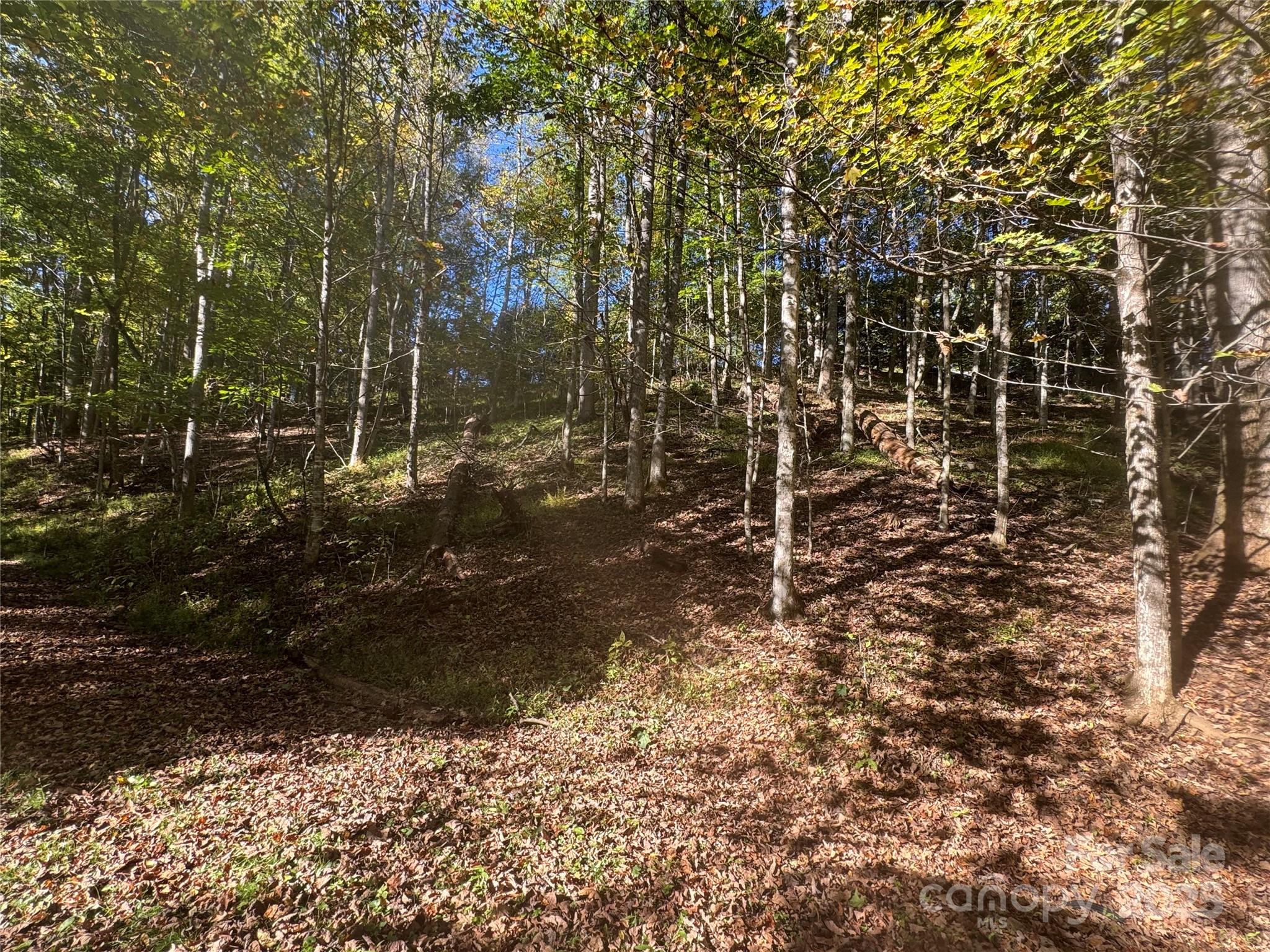 9 Susanna Cove Mars Hill NC 28754